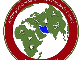 اسلایدر