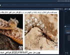 برگزاری مارگزیدگی