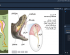 برگزاری مارگزیدگی